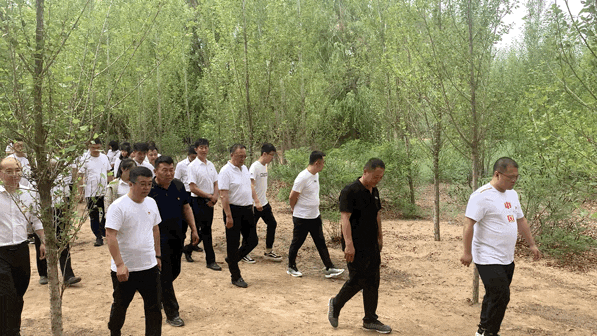8.gif
